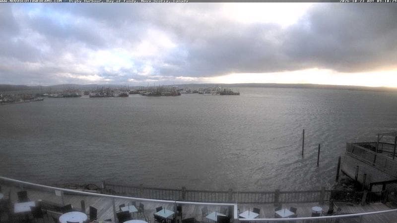 Digby Harbour