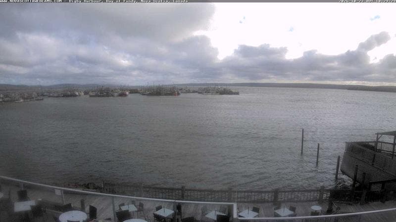 Digby Harbour
