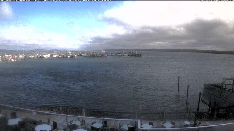 Digby Harbour