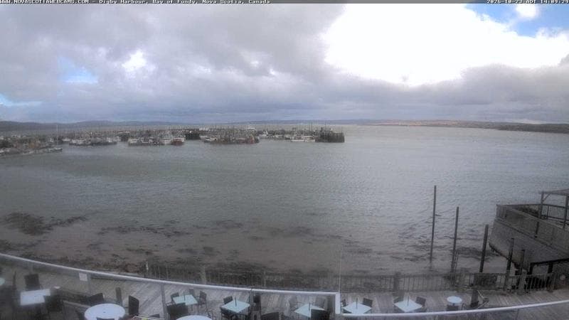 Digby Harbour