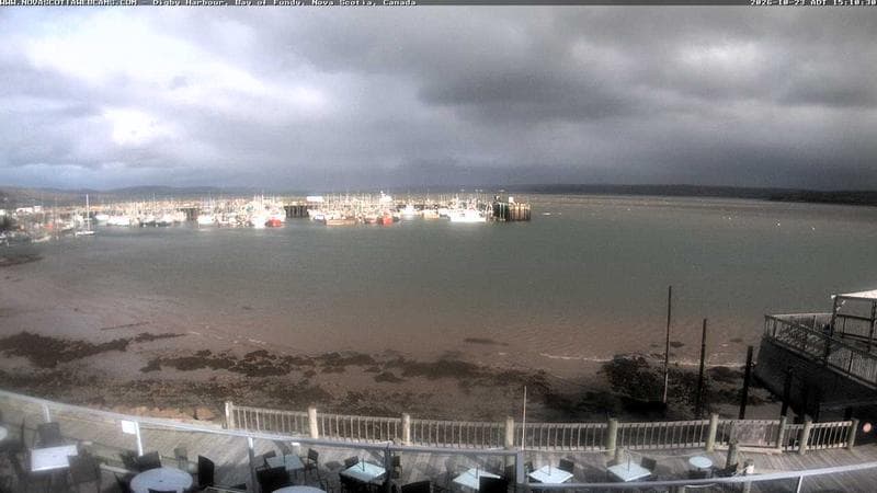 Digby Harbour