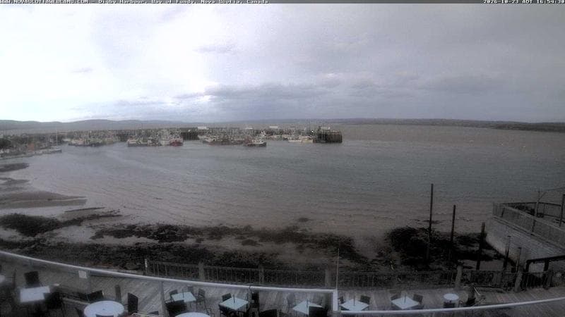 Digby Harbour