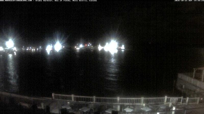 Digby Harbour