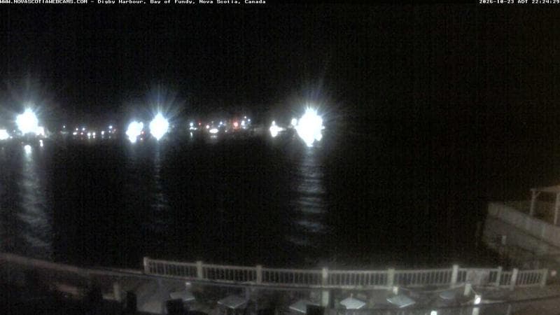 Digby Harbour