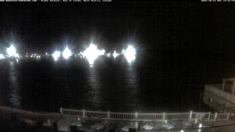 Digby Harbour