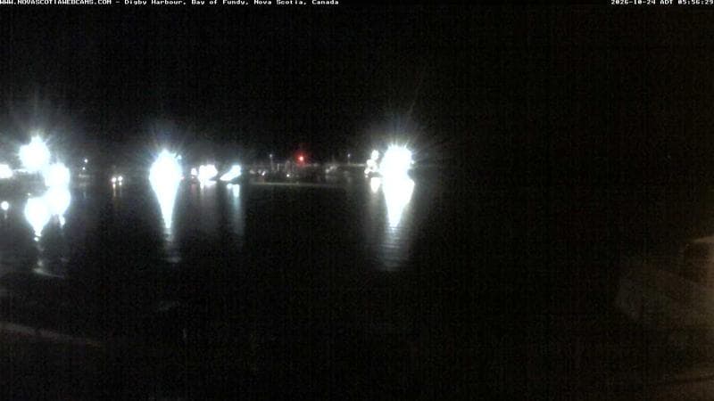 Digby Harbour