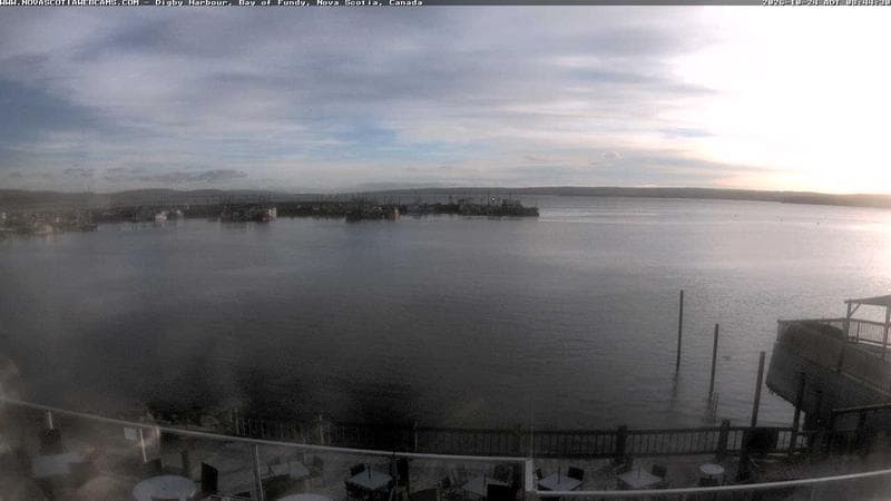 Digby Harbour