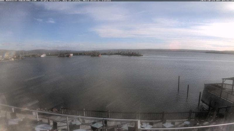 Digby Harbour