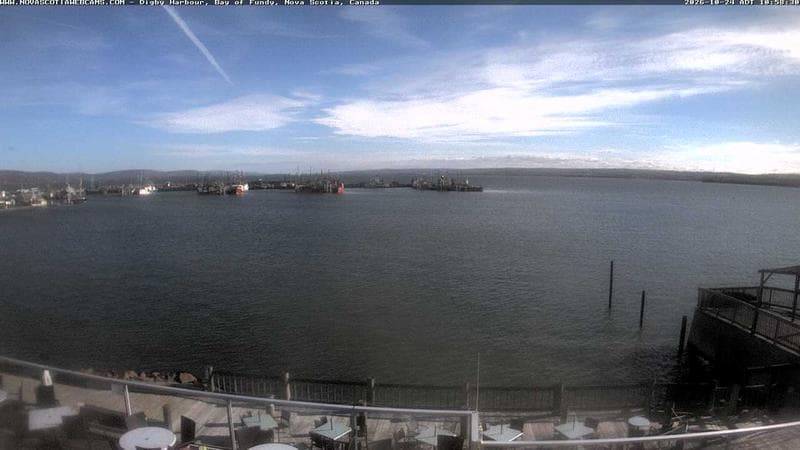 Digby Harbour