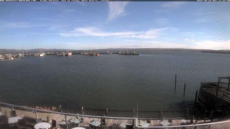 Digby Harbour