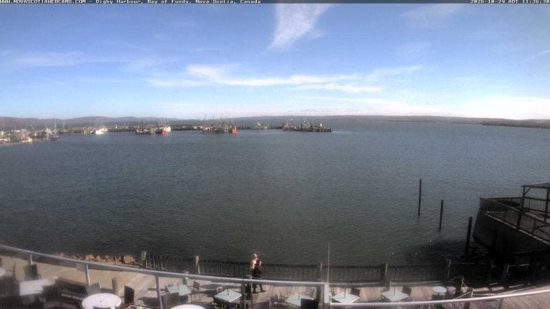 Digby Harbour