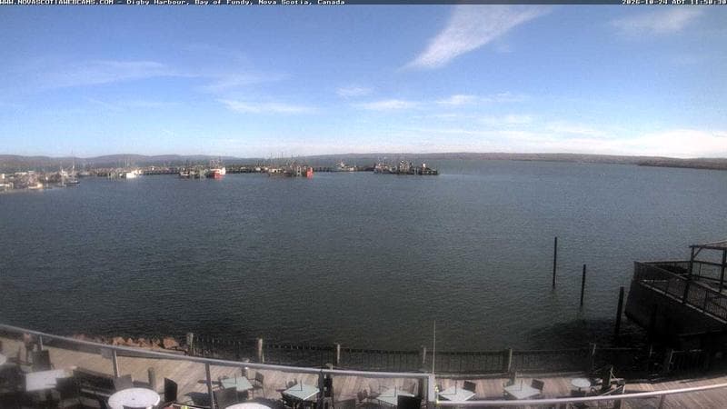 Digby Harbour