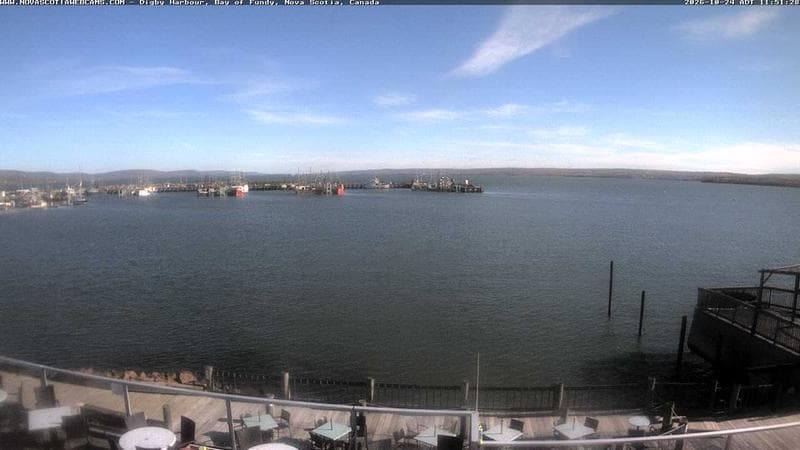 Digby Harbour
