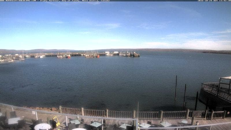 Digby Harbour