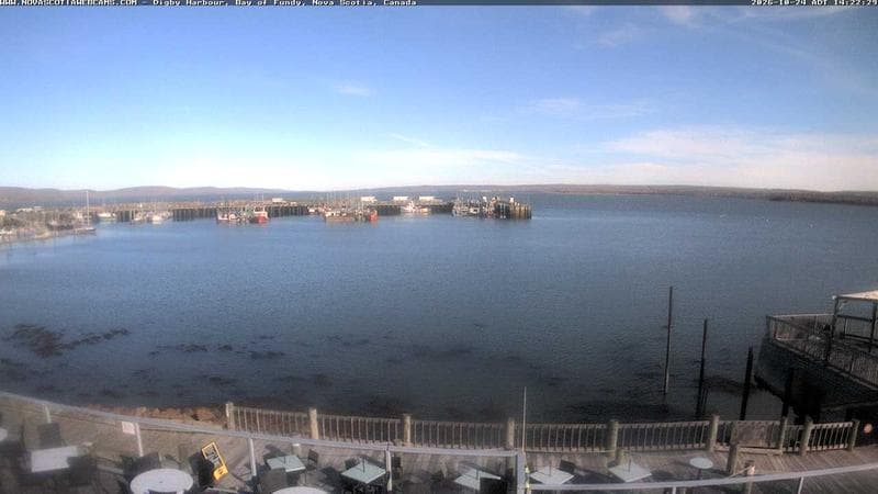 Digby Harbour