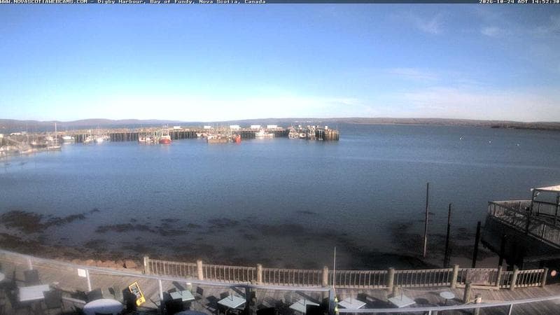 Digby Harbour
