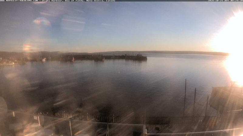 Digby Harbour