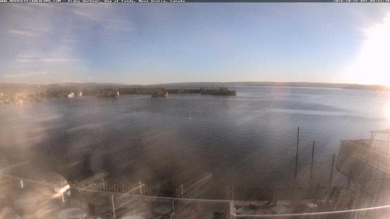 Digby Harbour