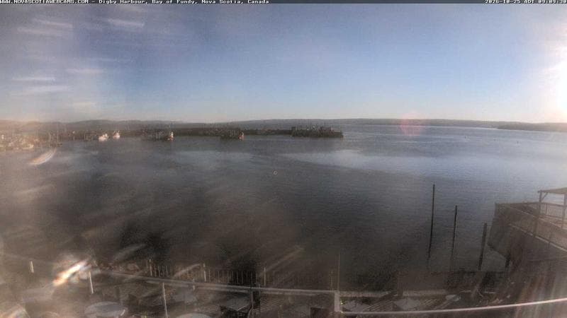 Digby Harbour