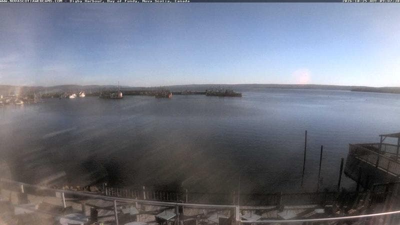 Digby Harbour