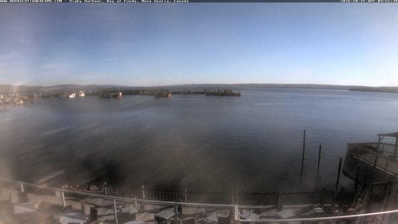 Digby Harbour