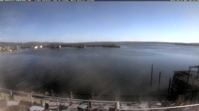 Digby Harbour