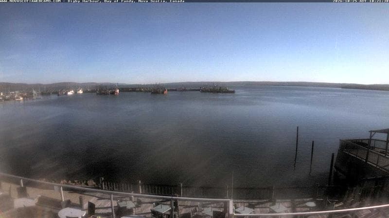 Digby Harbour