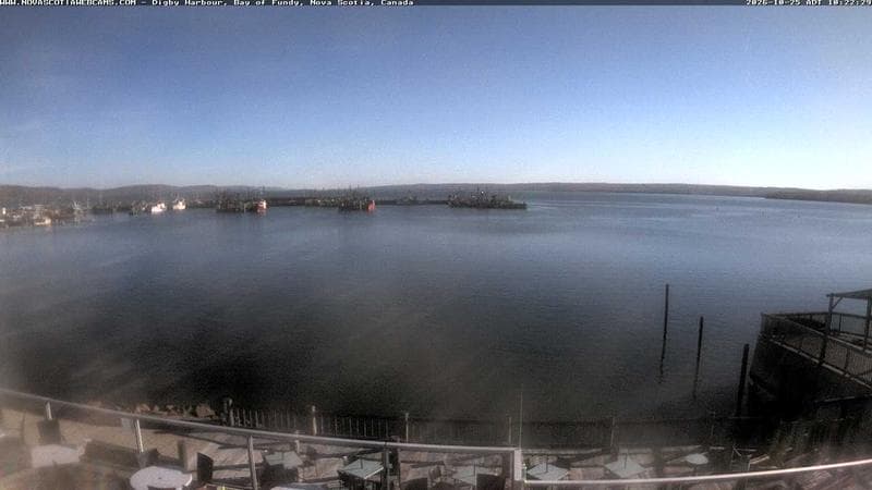 Digby Harbour