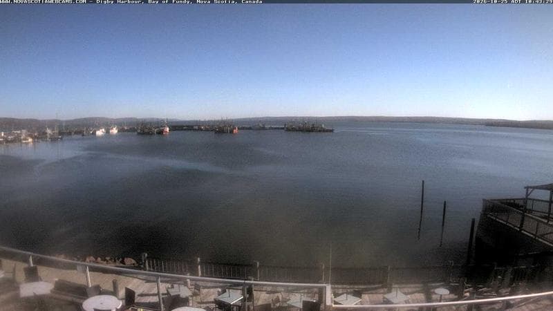 Digby Harbour