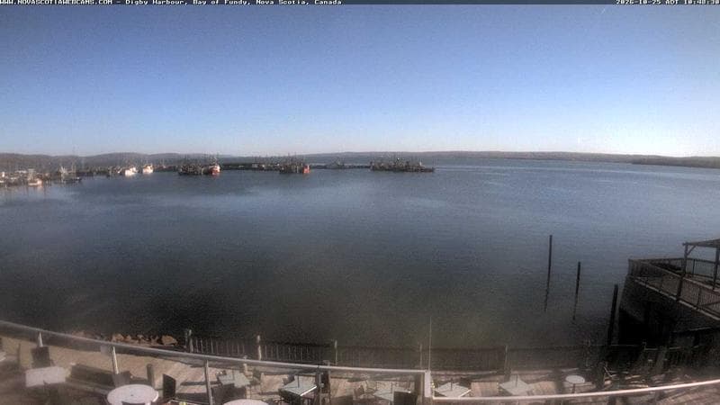 Digby Harbour