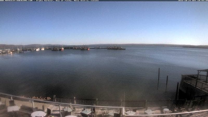 Digby Harbour