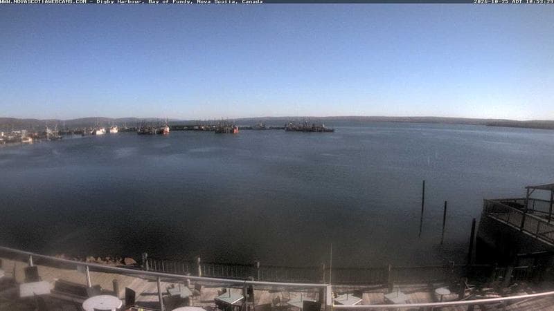 Digby Harbour