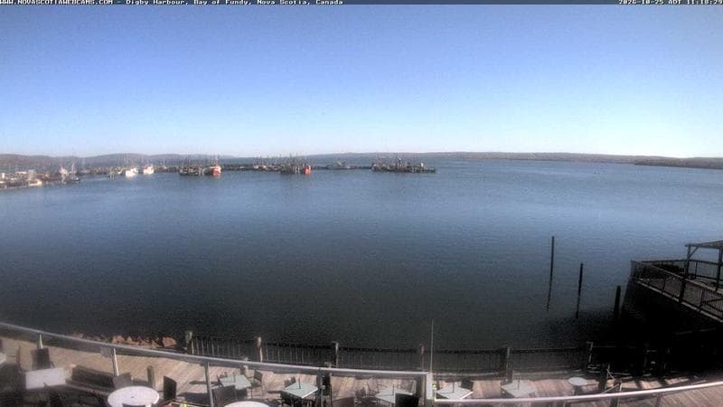 Digby Harbour