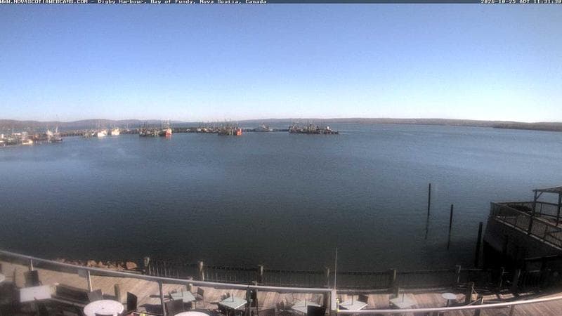 Digby Harbour