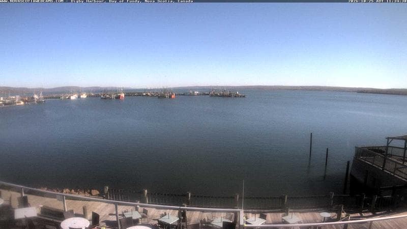 Digby Harbour