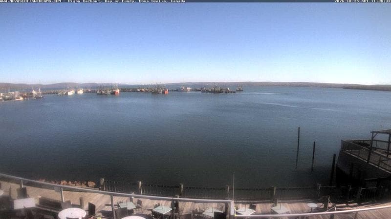 Digby Harbour