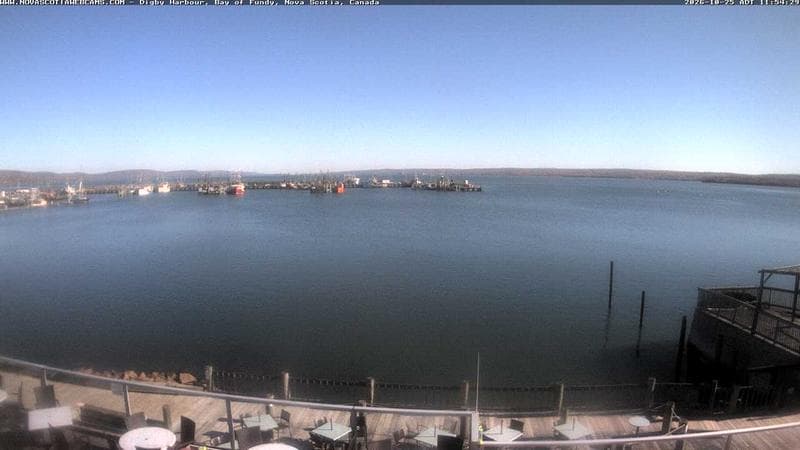 Digby Harbour
