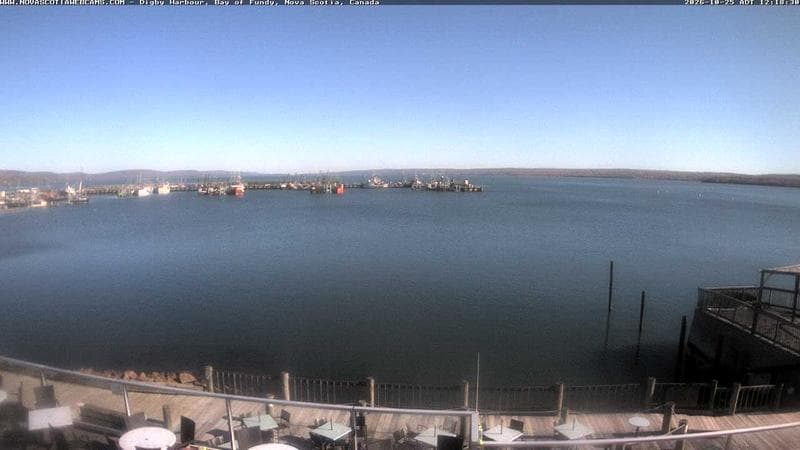 Digby Harbour