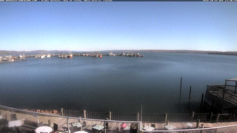 Digby Harbour