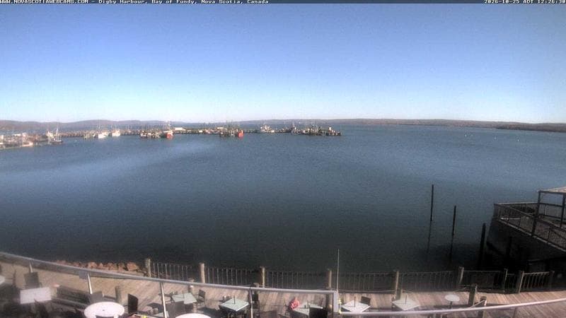 Digby Harbour