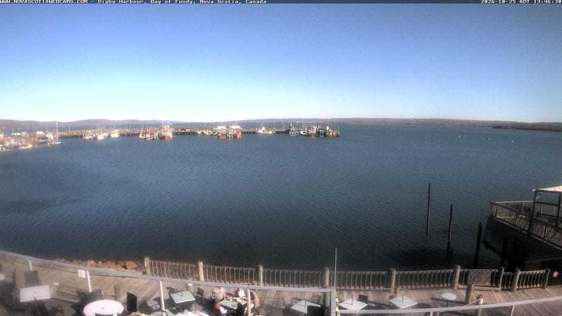 Digby Harbour