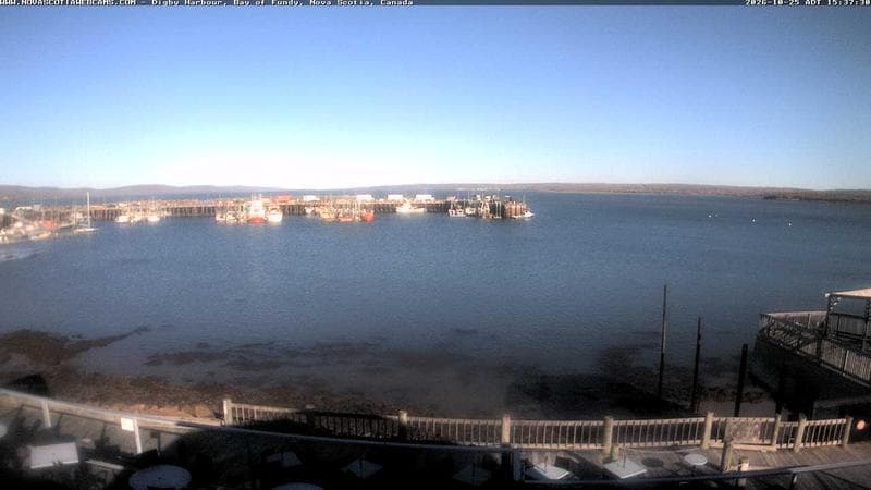 Digby Harbour