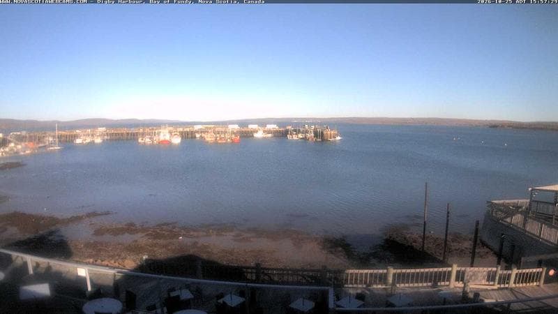 Digby Harbour