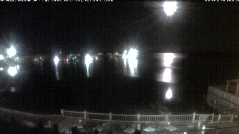 Digby Harbour
