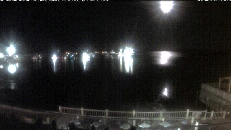 Digby Harbour