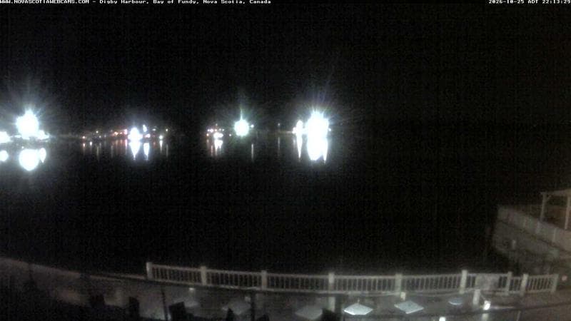 Digby Harbour