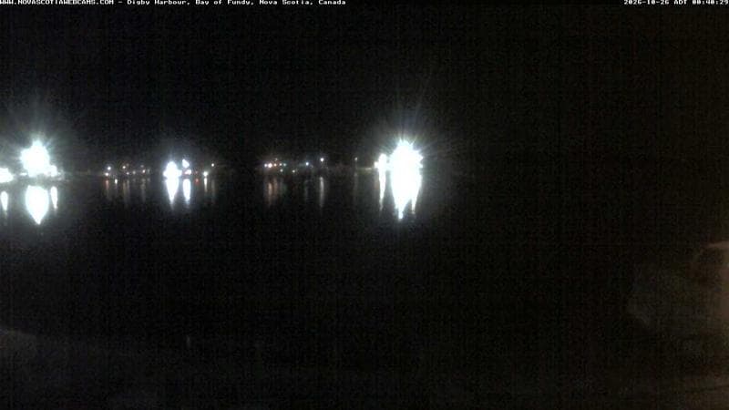 Digby Harbour