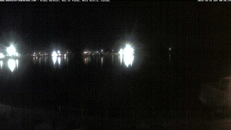 Digby Harbour