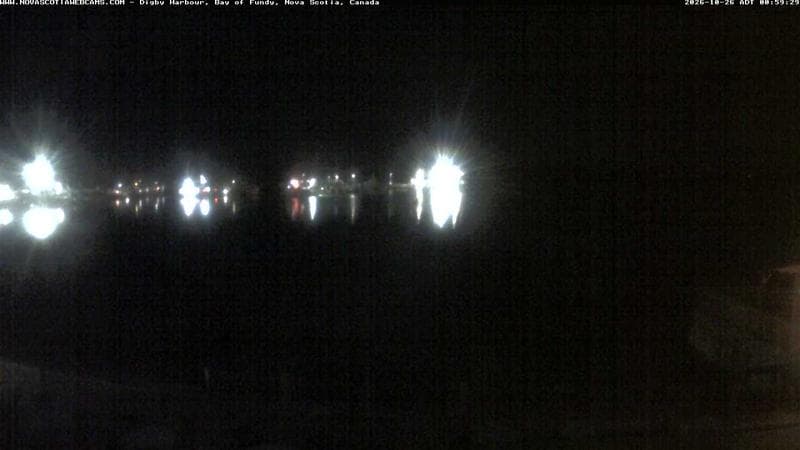 Digby Harbour