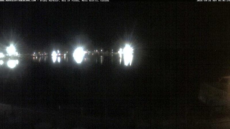 Digby Harbour